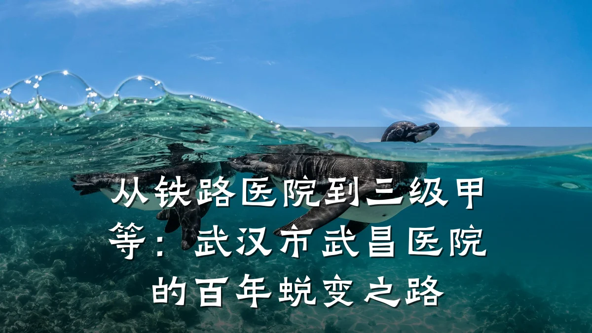 从铁路医院到三级甲等：武汉市武昌医院的百年蜕变之路