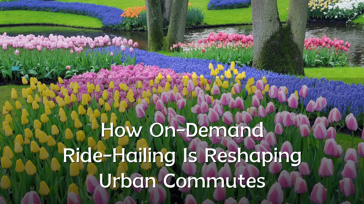 How On-Demand Ride-Hailing Is Reshaping Urban Commutes