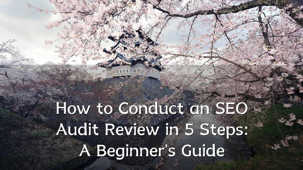 How to Conduct an SEO Audit Review in 5 Steps: A Beginner's Guide