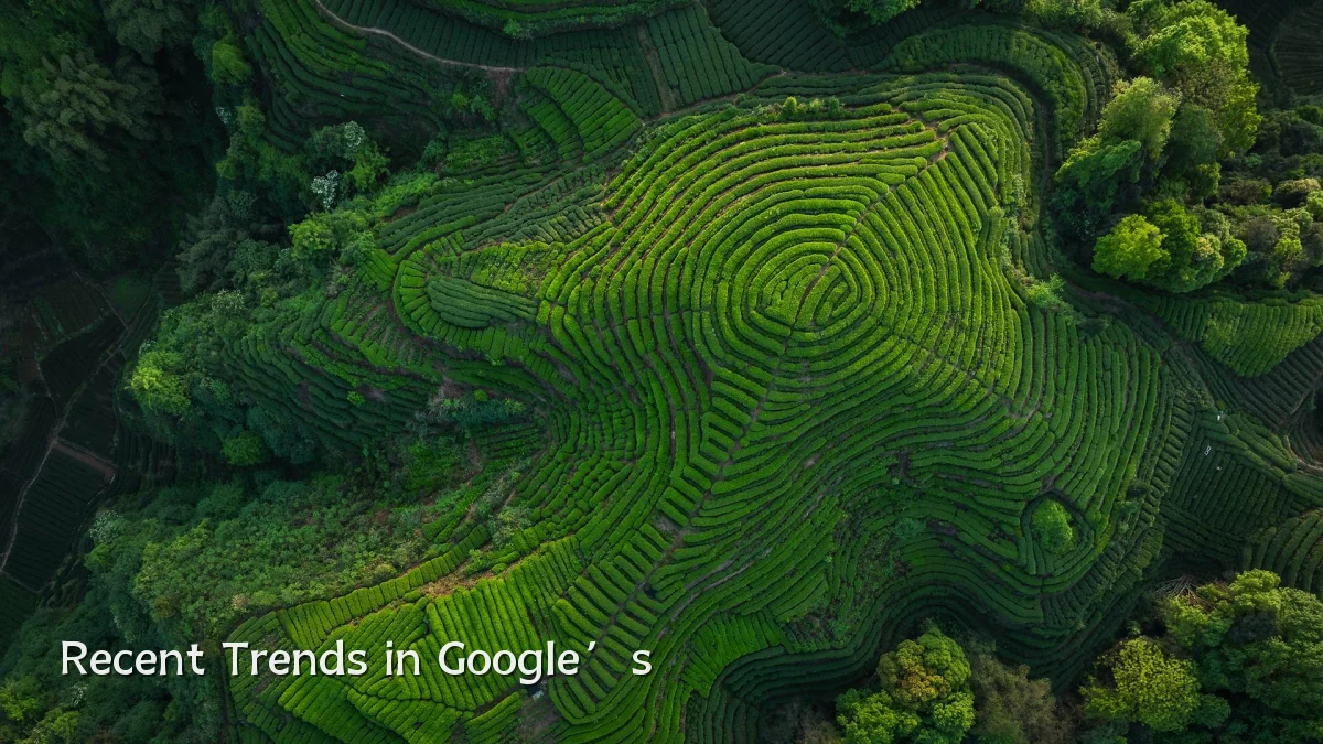 Recent Trends in Google’s