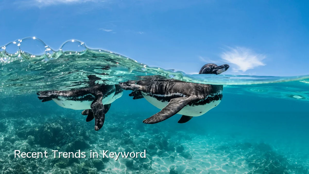 Recent Trends in Keyword
