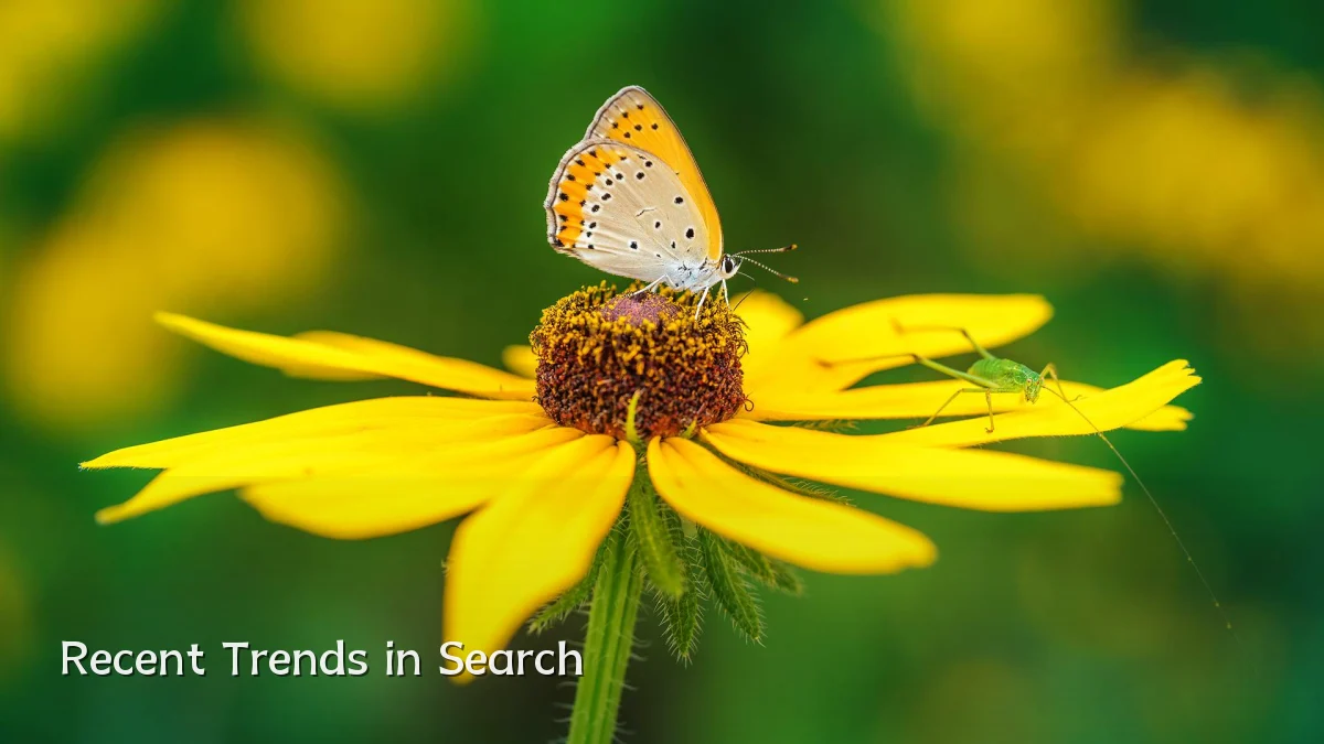 Recent Trends in Search