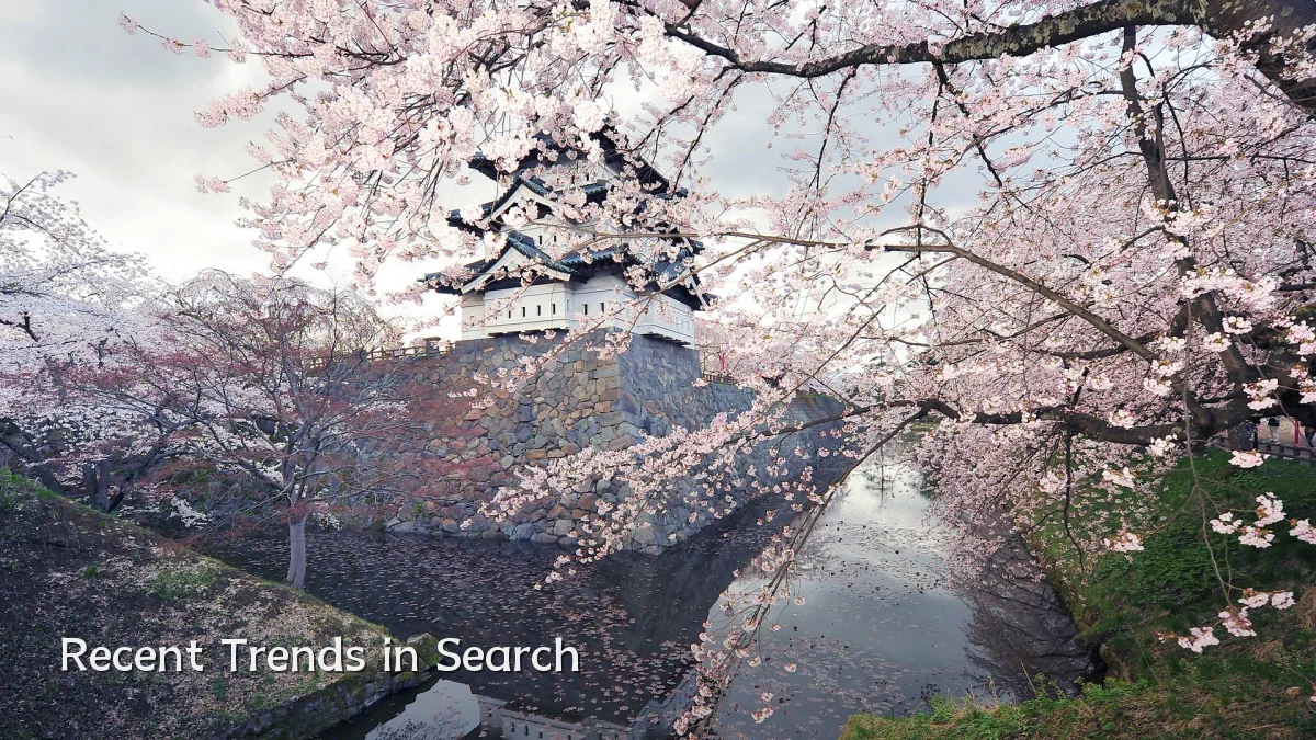 Recent Trends in Search