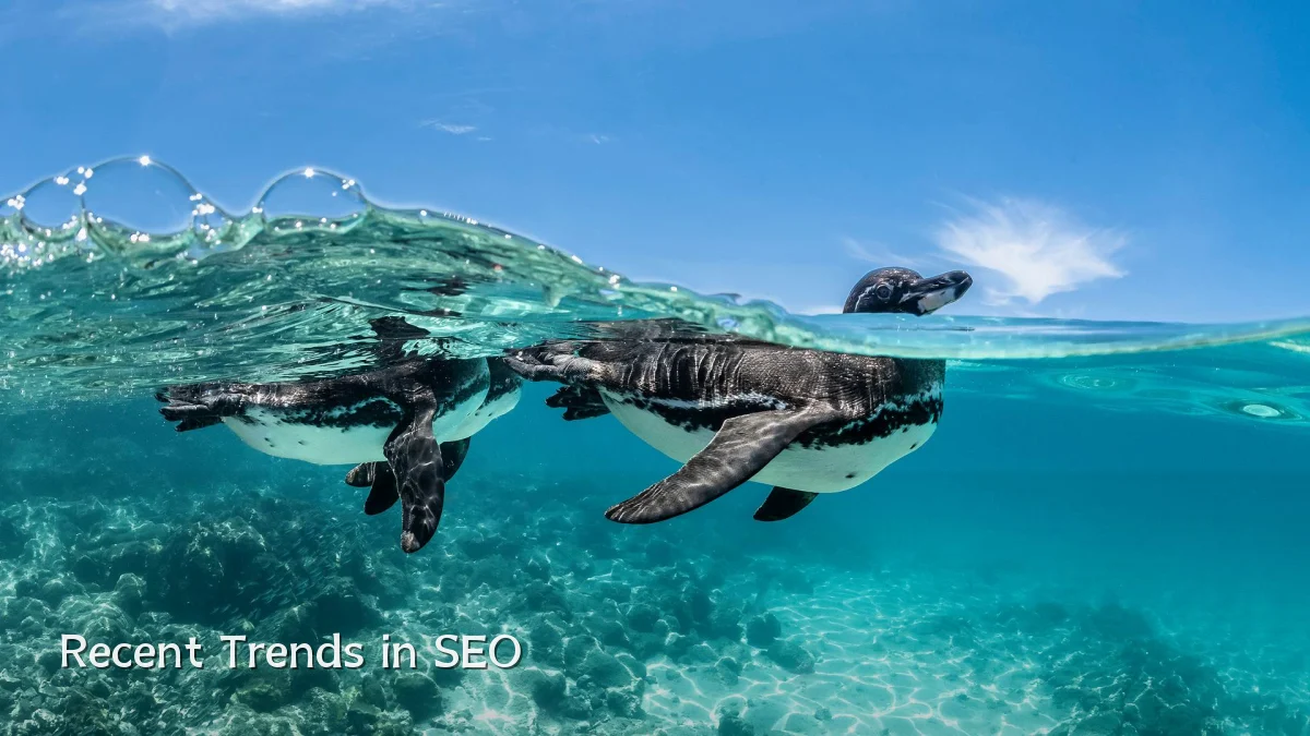 Recent Trends in SEO