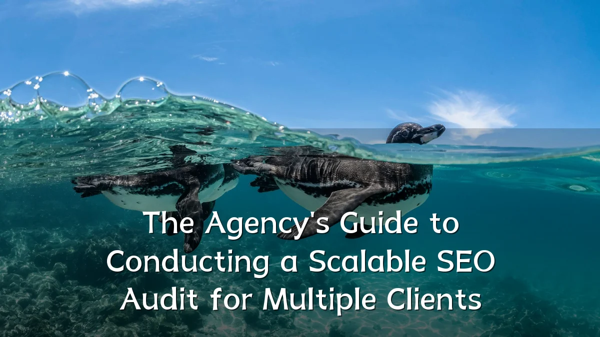 The Agency's Guide to Conducting a Scalable SEO Audit for Multiple Clients