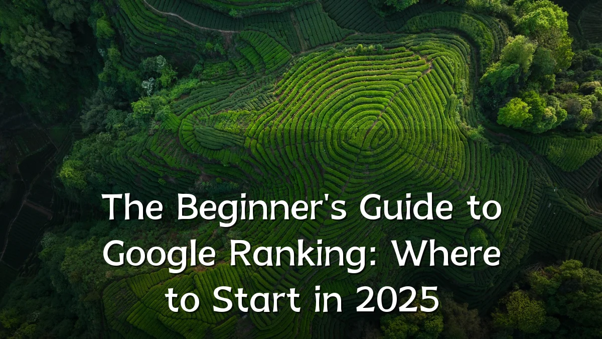 The Beginner's Guide to Google Ranking: Where to Start in 2025