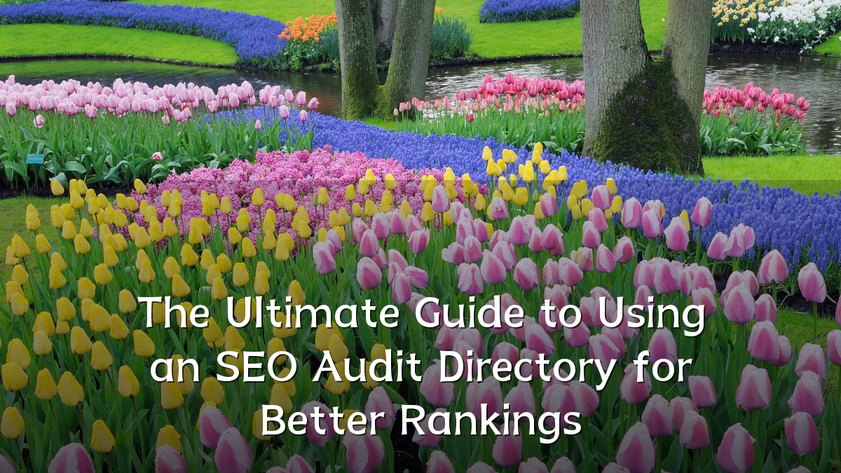 The Ultimate Guide to Using an SEO Audit Directory for Better Rankings