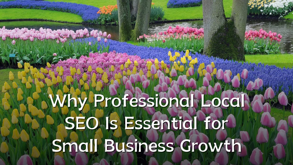 Why Professional Local SEO Is Essential for Small Business Growth