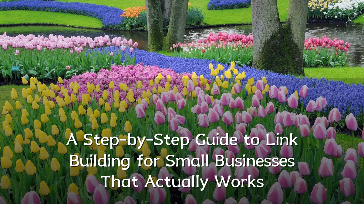 A Step-by-Step Guide to Link Building for Small Businesses That Actually Works
