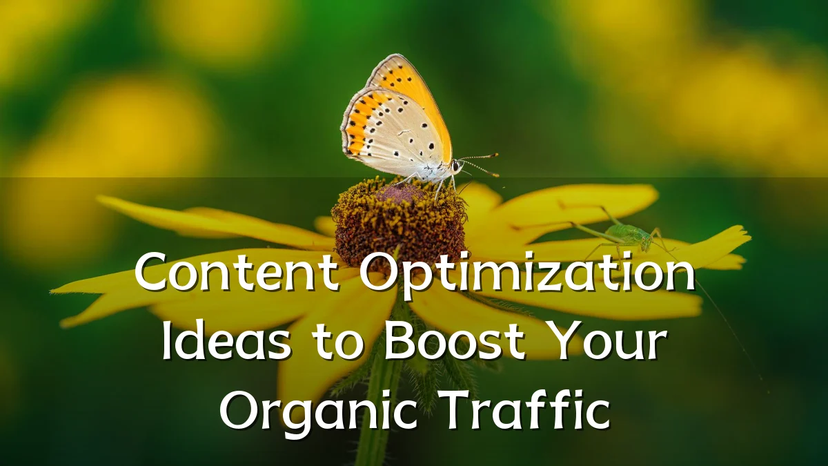 Content Optimization Ideas to Boost Your Organic Traffic