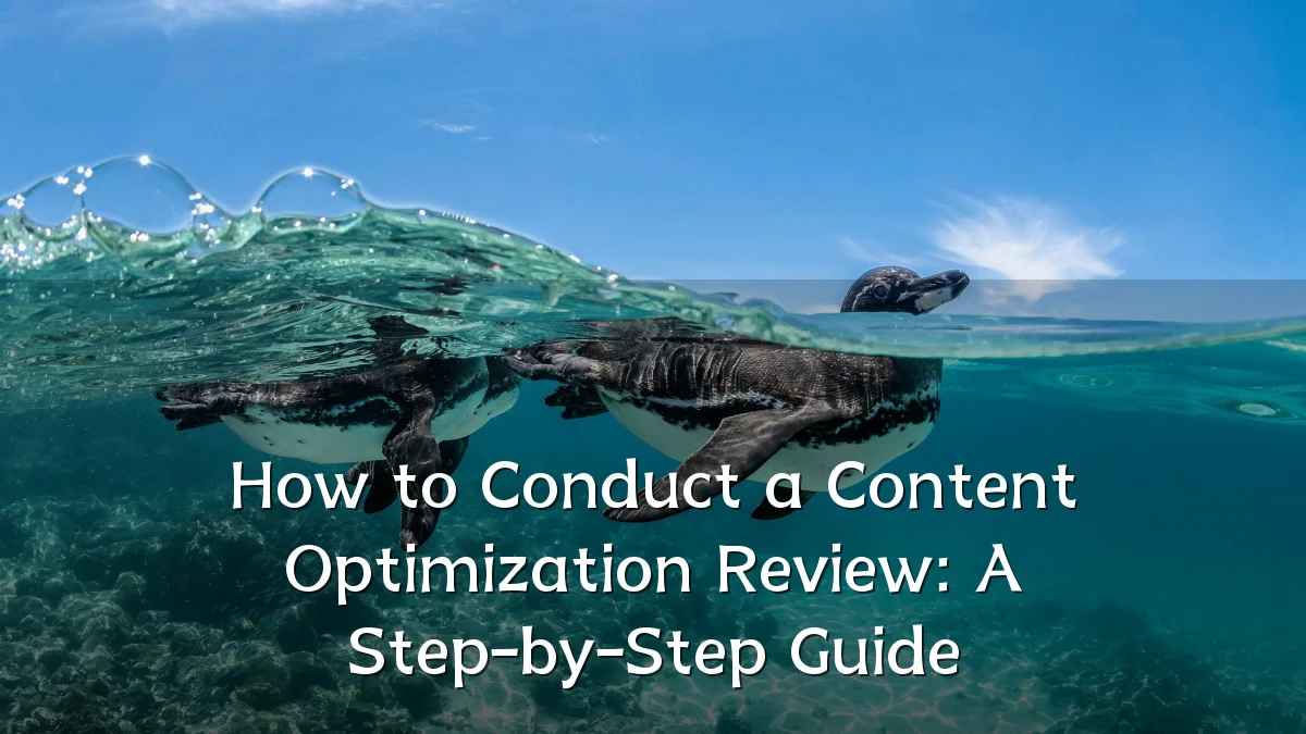 How to Conduct a Content Optimization Review: A Step-by-Step Guide