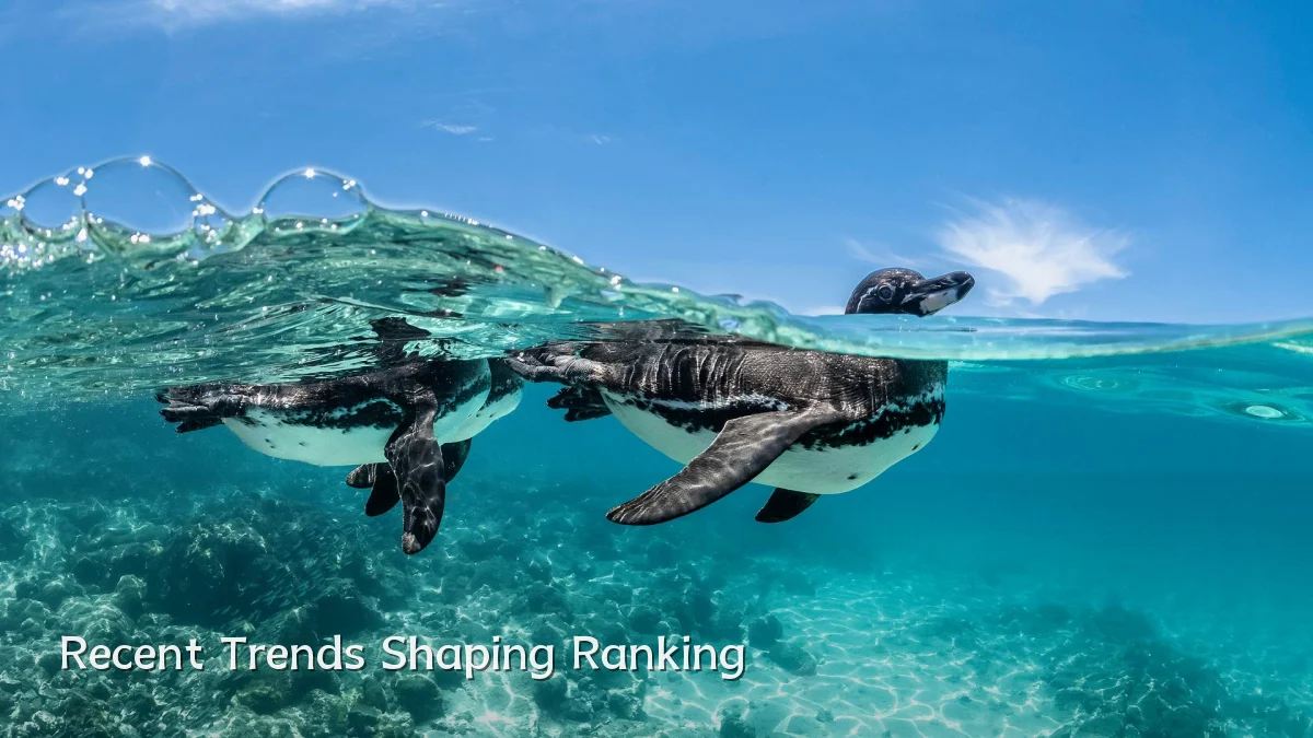 Recent Trends Shaping Ranking