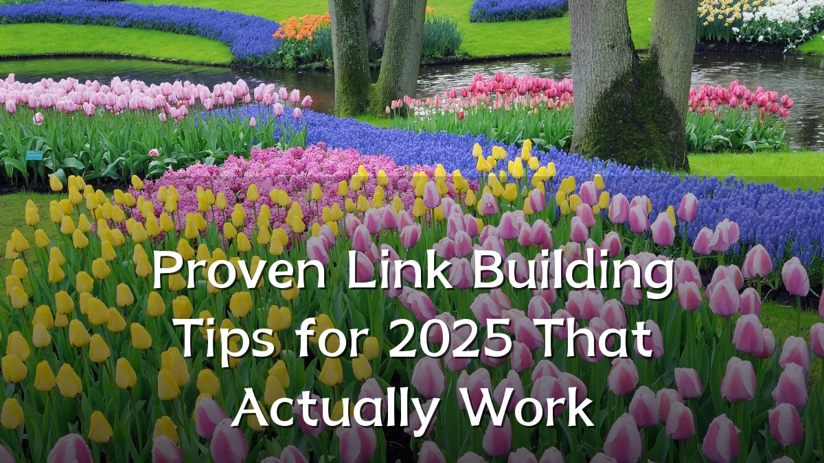 Proven Link Building Tips for 2025 That Actually Work