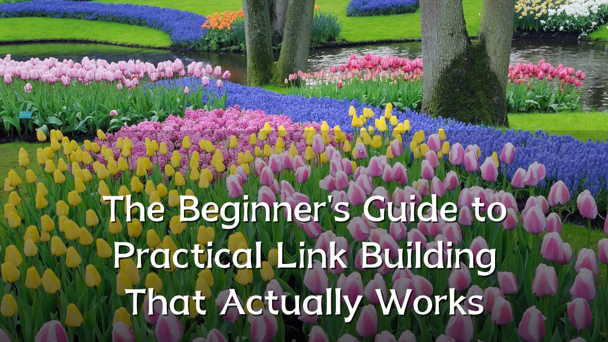 The Beginner's Guide to Practical Link Building That Actually Works
