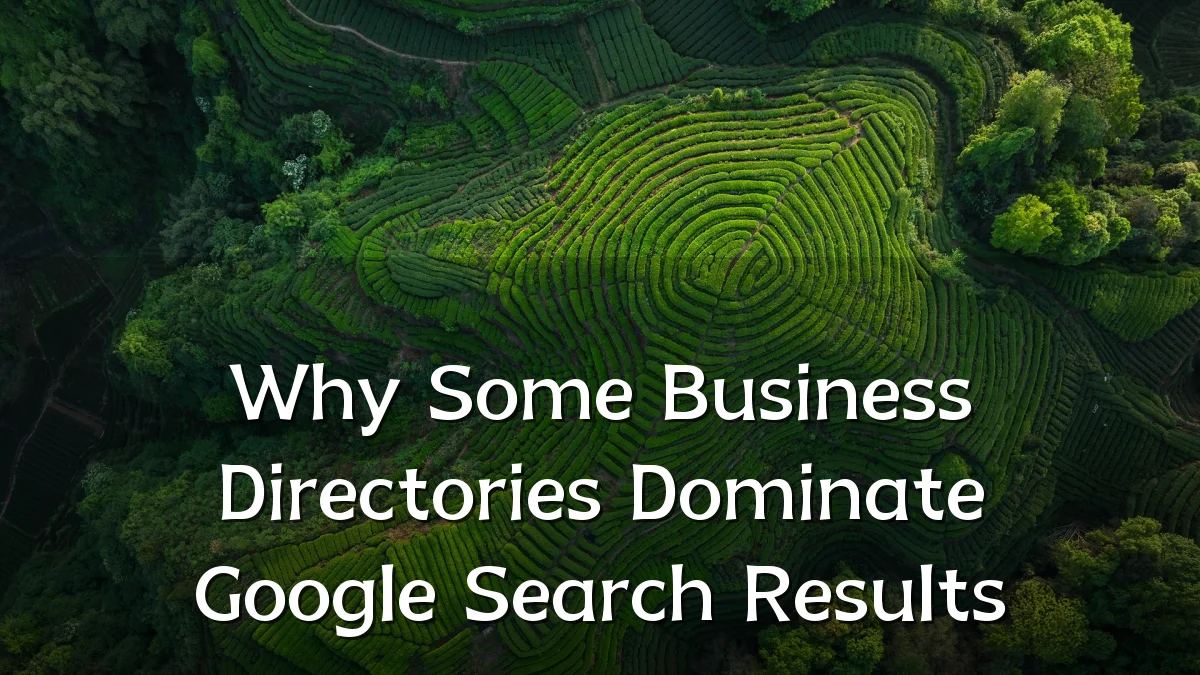Why Some Business Directories Dominate Google Search Results