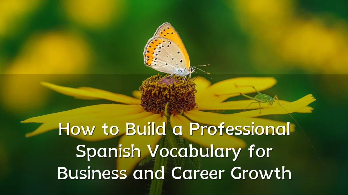 How to Build a Professional Spanish Vocabulary for Business and Career Growth