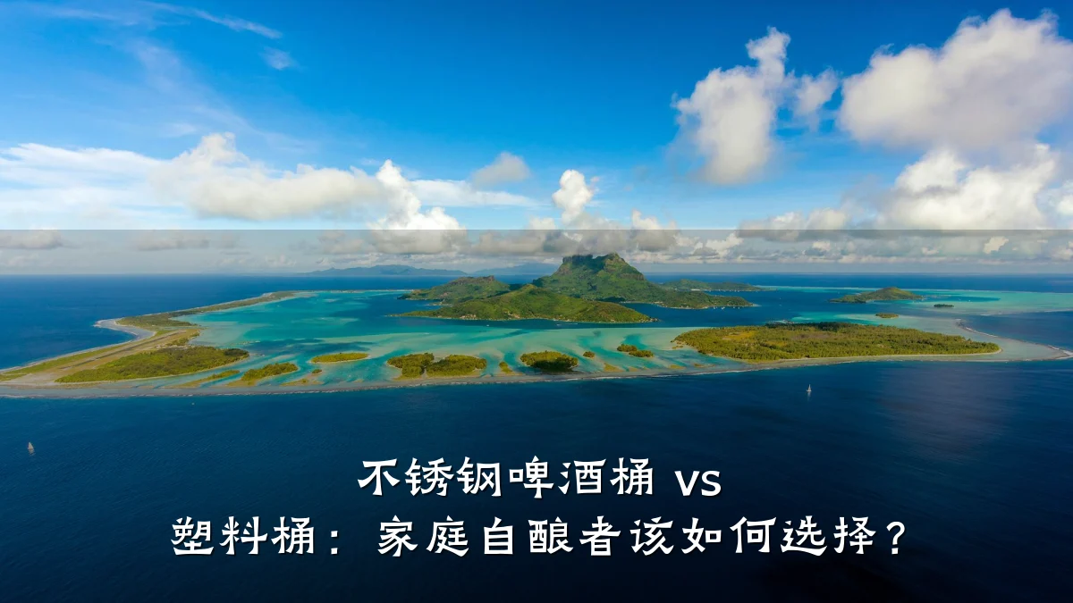 不锈钢啤酒桶 vs 塑料桶:家庭自酿者该如何选择?
