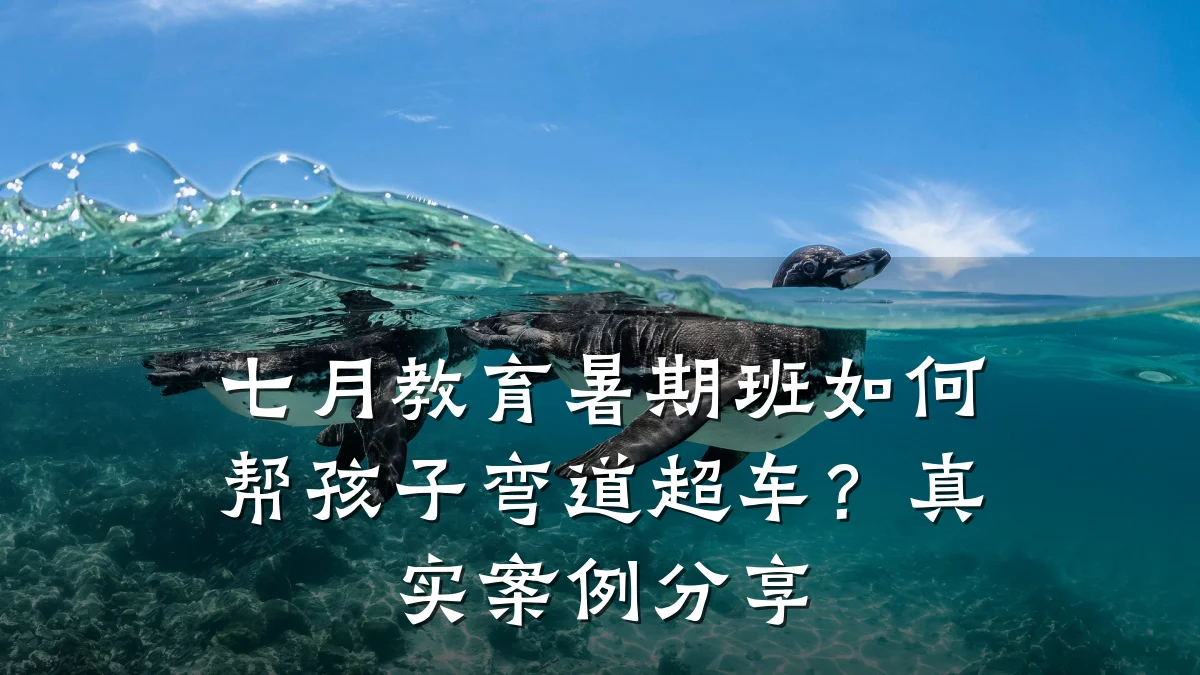 七月教育暑期班如何帮孩子弯道超车？真实案例分享
